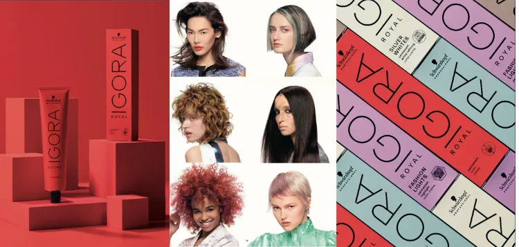 Schwarzkopf Professional IGORA ROYAL hajfestékek teljes megújulás